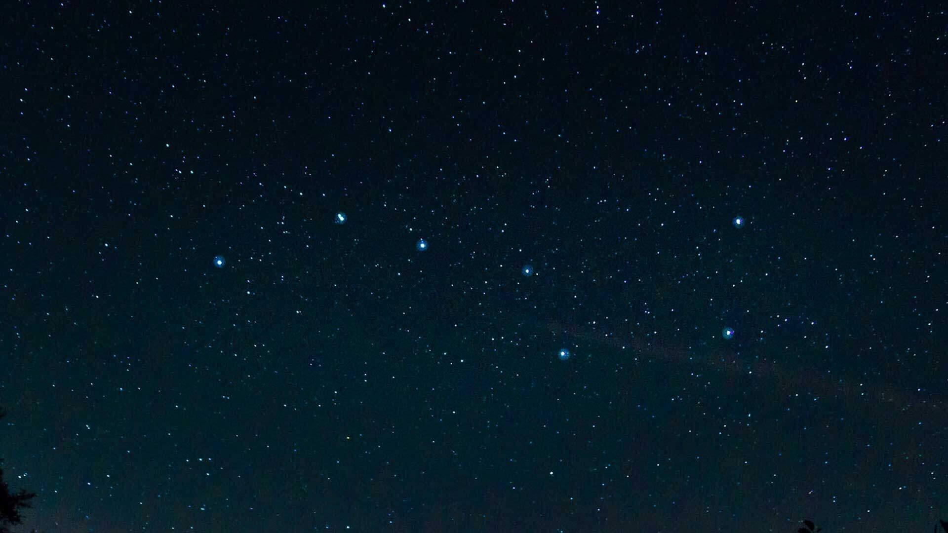 移动端头部背景